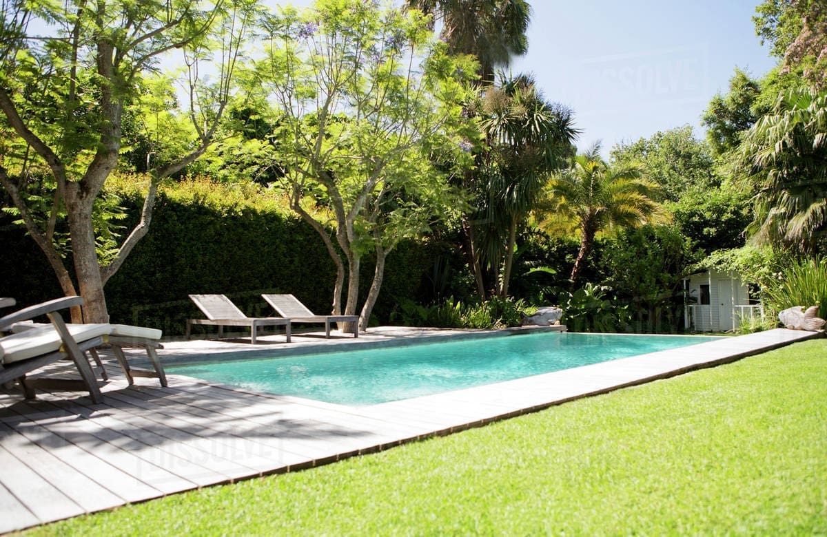 Advantages and Risks of Consolidating Pool and Lawn Services